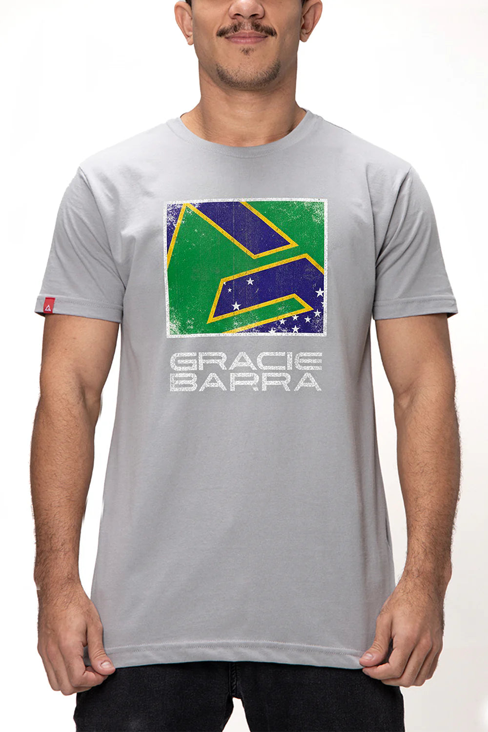 Camiseta Legado BRA V3 - Cinza